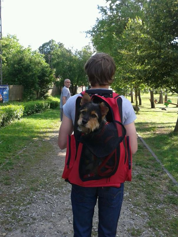 Couple Spots Someone Peaking Their Head Out From Ditch, Finds Dog With Broken Legs Inside Couple Spots Someone Peaking Their Head Out From Ditch, Finds Dog With Broken Legs Inside