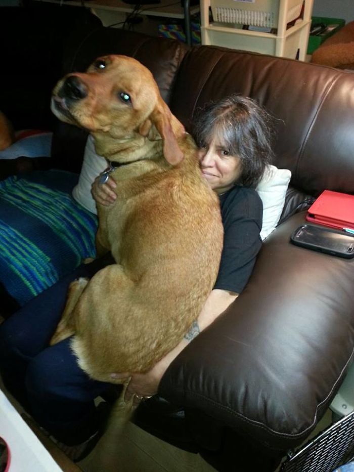 He Was One In This Picture. He's Grown A Little Since.