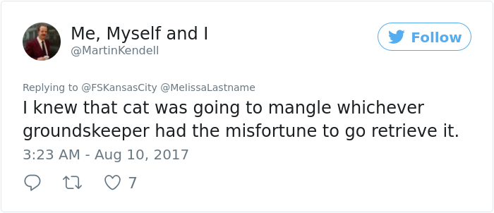 kitten-disrupts-baseball-game-busch-stadium (4) kitten-disrupts-baseball-game-busch-stadium (4)