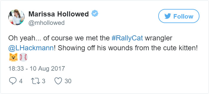 kitten-disrupts-baseball-game-busch-stadium-9 kitten-disrupts-baseball-game-busch-stadium-9