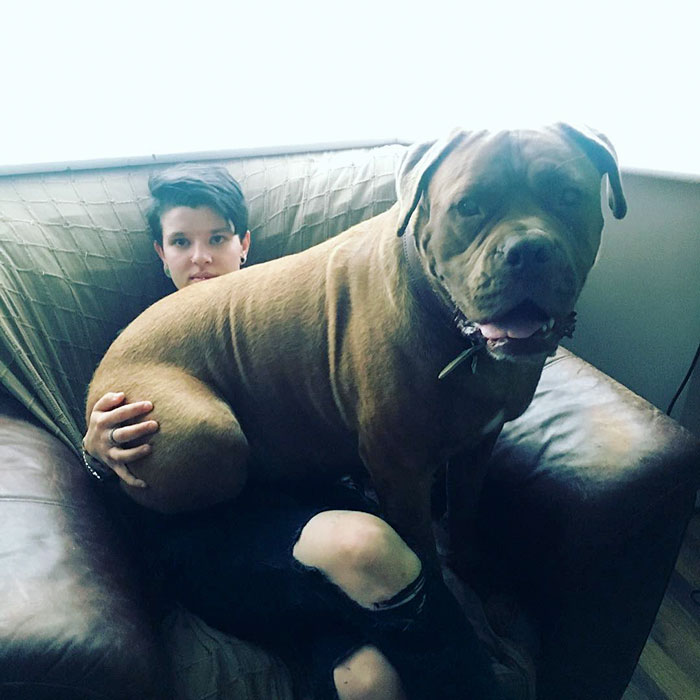 Big Beast Lap Dog