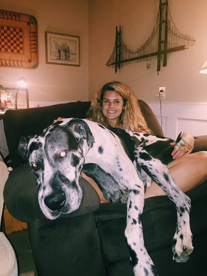 Roscoe Honey, You're Not A Lap Dog
