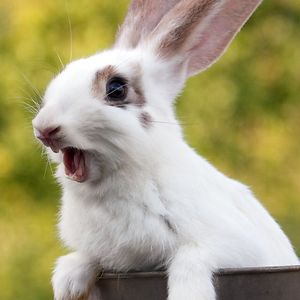 emmamckenzie2424 avatar