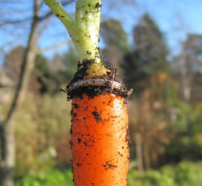 10+ Increíbles historias de objetos perdidos y vueltos a encontrar