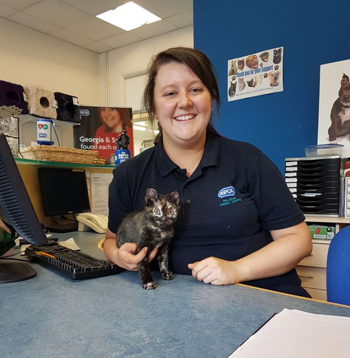 luckiest-britain-kitten-fire-burns-phoenix-5 luckiest-britain-kitten-fire-burns-phoenix-5