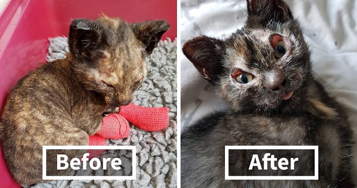 Neighbors Extinguishing Backyard Fire Suddenly Hear Cries For Help, And Here’s What They Find (Graphic Content)