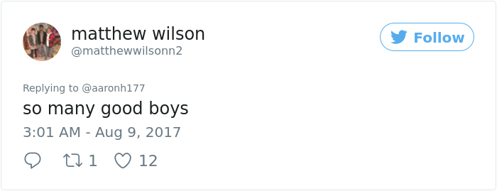 mailman-dog-lover-home-security-camera-video-texas- (10)