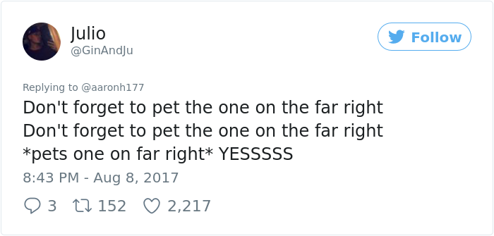 mailman-dog-lover-home-security-camera-video-texas- (9)