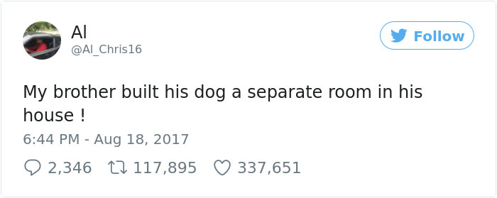 Man Builds Entire Bedroom Under Stairs For His Dog Man Builds Entire Bedroom Under Stairs For His Dog