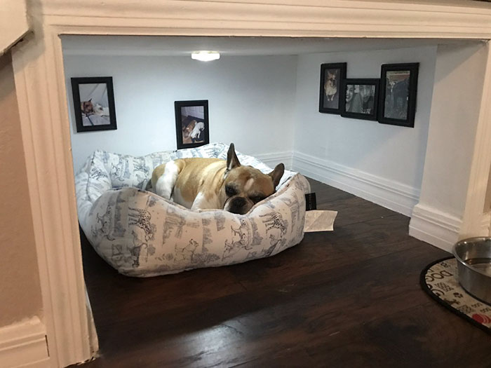 Man Builds Entire Bedroom Under Stairs For His Dog