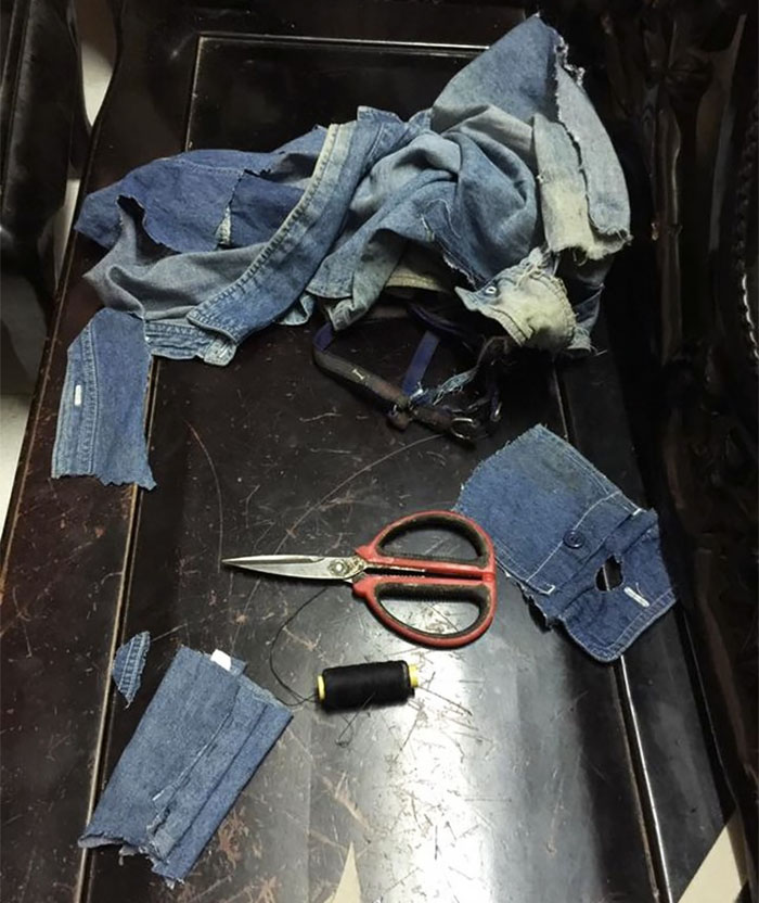 This Human Made His Dogs A Tiny Backpack So They Could Carry Their Recently Born Puppies Around