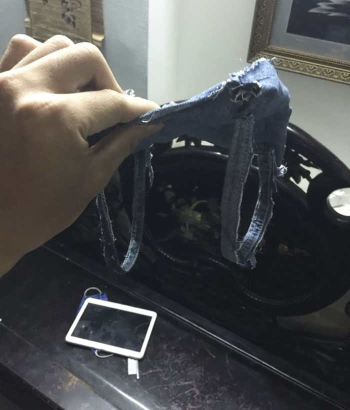 This Human Made His Dogs A Tiny Backpack So They Could Carry Their Recently Born Puppies Around