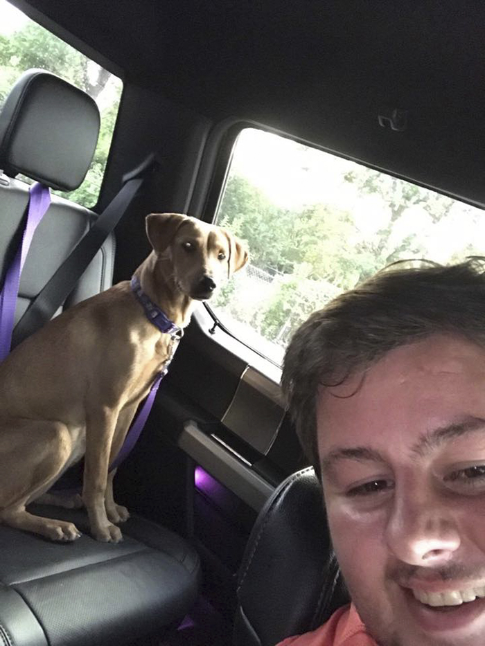 This Student Ignored All Warnings And Drove Towards A Hurricane To Save Animals On His Path