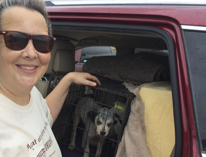 This Student Ignored All Warnings And Drove Towards A Hurricane To Save Animals On His Path