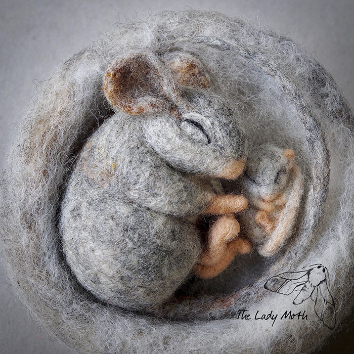 Wildlife - My Inspiration