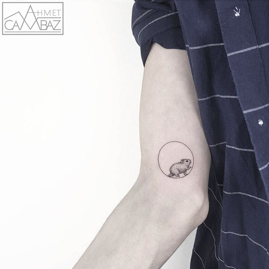 Minimalist rodent tattoo design by former Turkish cartoonist on forearm.