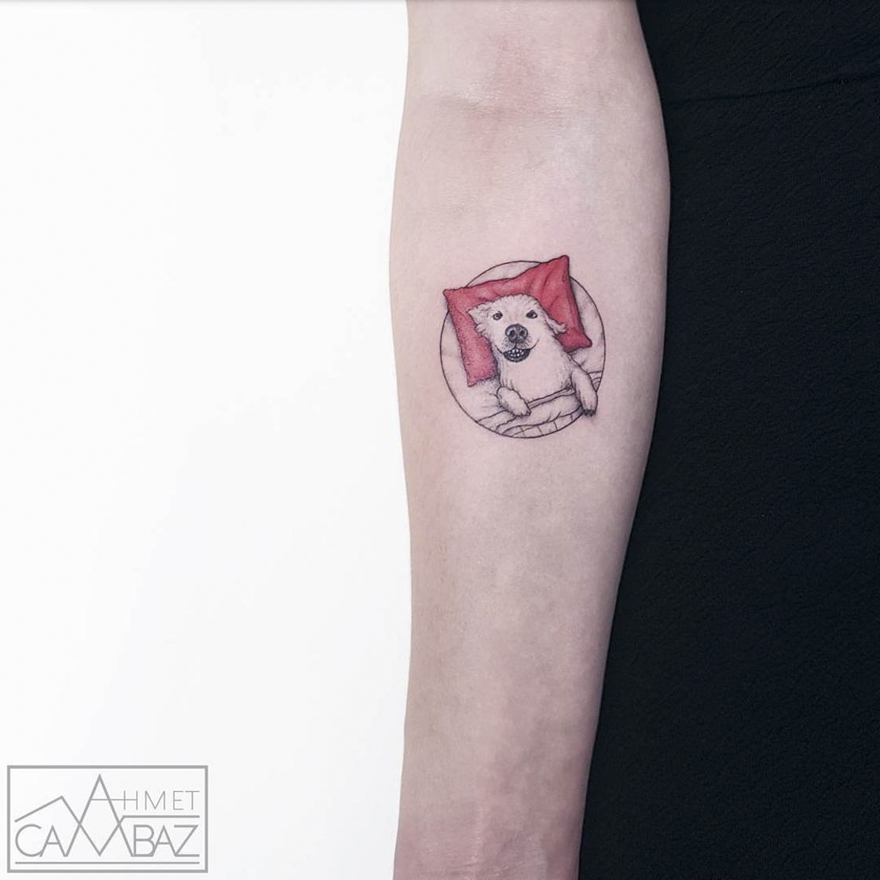 Simple yet striking tattoo of a white dog resting on a red pillow, designed by a former Turkish cartoonist.