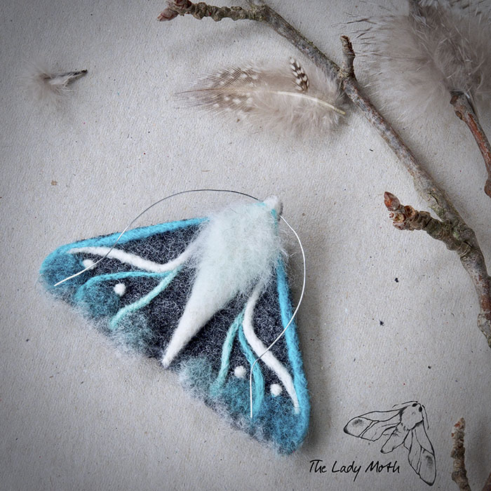 Wildlife - My Inspiration