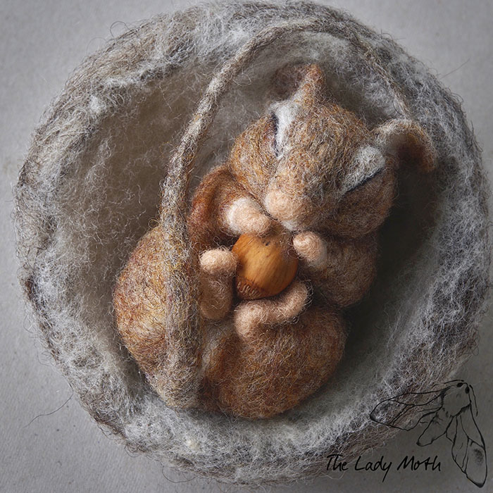 Wildlife - My Inspiration