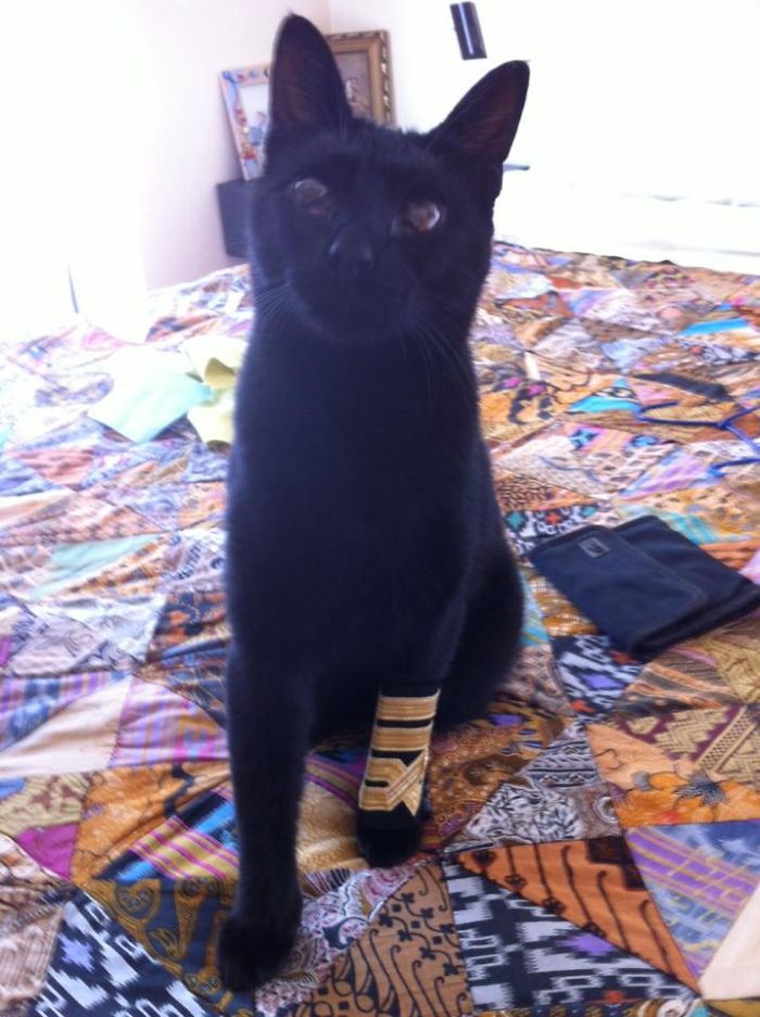 Naomi Is A Merchant Marine Captain !!!!