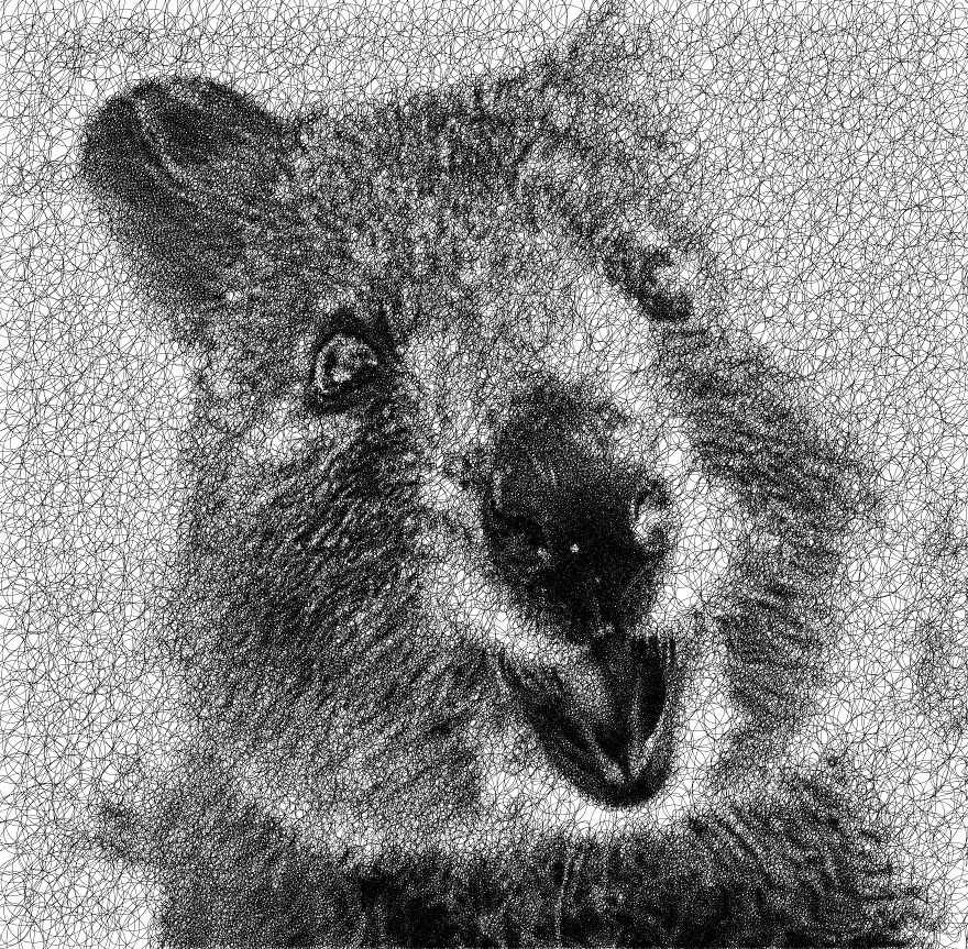 I Wrote An Algorithm That Scribbles Drawings Using A Single Line I Wrote An Algorithm That Scribbles Drawings Using A Single Line