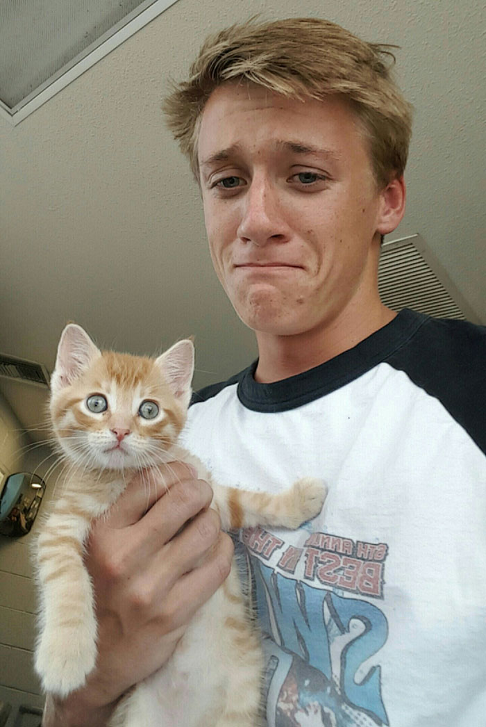 I Always Considered Myself To Be More Of A Dog Person, But A Co-worker Brought This Little Guy In And I Couldn't Help Myself