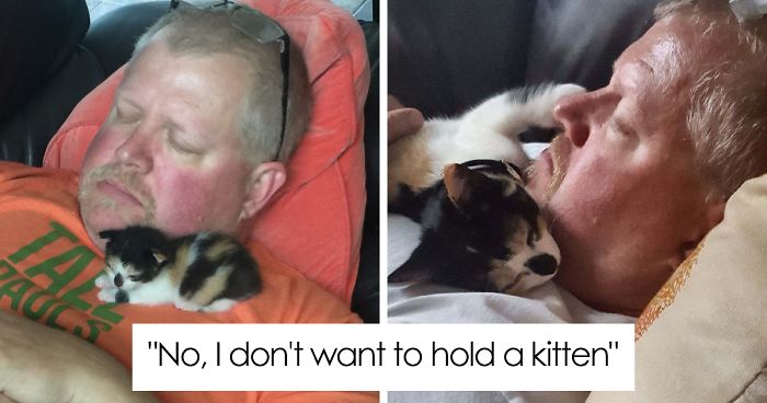 50 People Who Said They Didn’t Want The Damn Cats