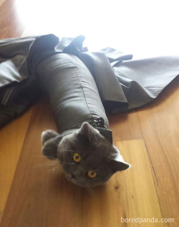 Left Suit On Floor. Woke Up To This