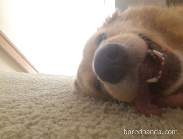 Woke Up Hungover On The Floor, She Wanted To Be By My Side All Night