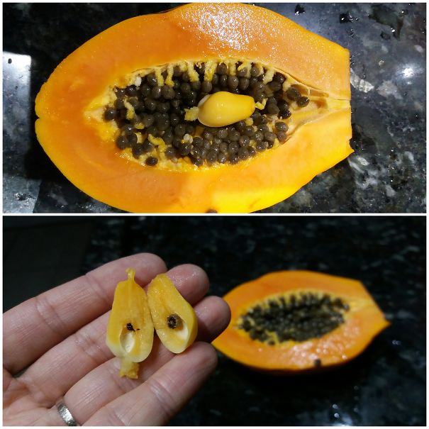 Papaya Has A Baby