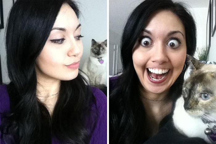 My Cat Has Never Appreciated My Skills