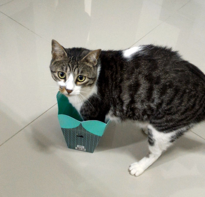 Puma + Box. Doesn't Matter The Size