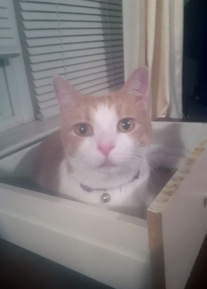 Dis Drawer Is Mine Now