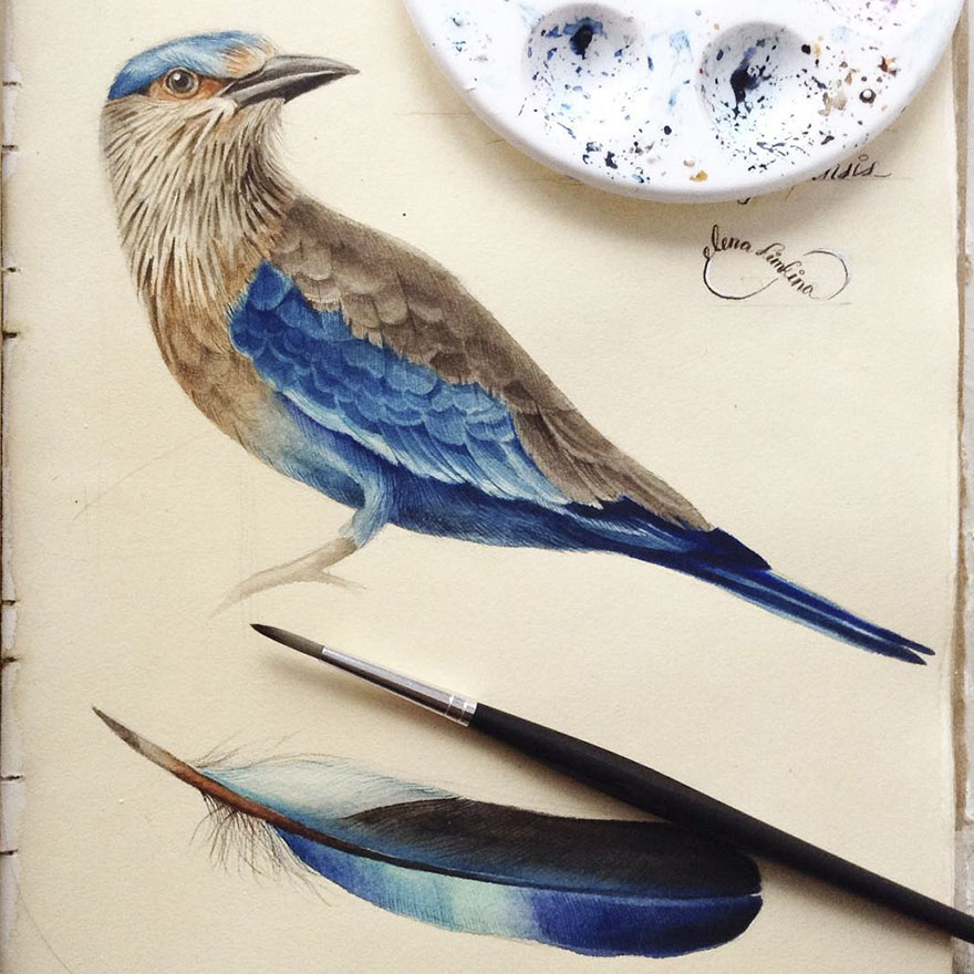 Sketchbook-drawings-elena-limkina-russia