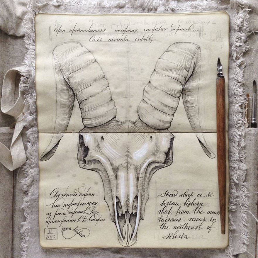 Sketchbook-drawings-elena-limkina-russia