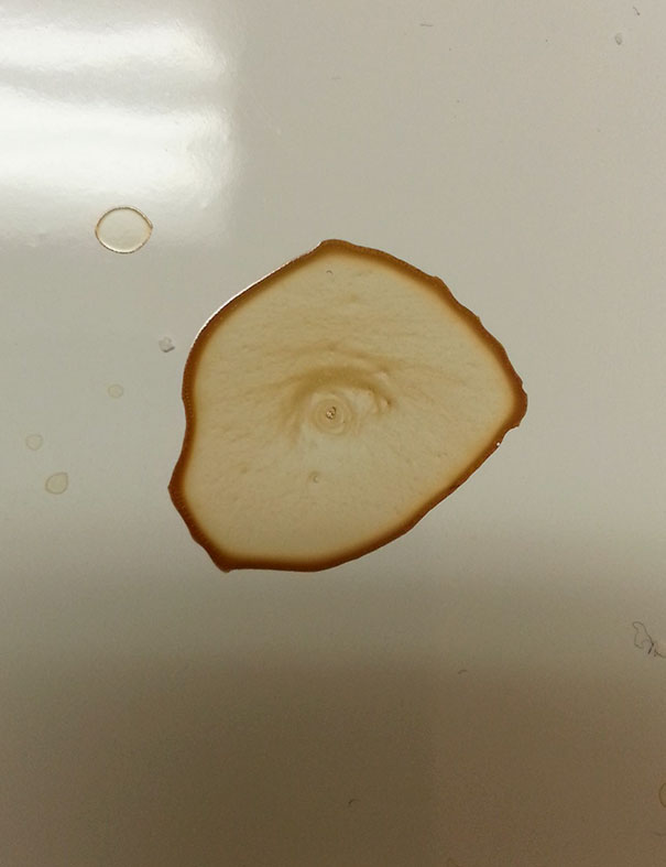 Spilled A Bit Of Coffee. Came Back Later To See It Looking At Me