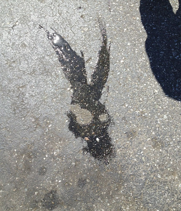 Water Spill In The Parking Lot Looks Like The Rabbit From Donny Darko