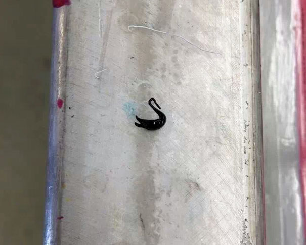 Ink Spilled Onto My Workbench, Tiny Swan Was Born