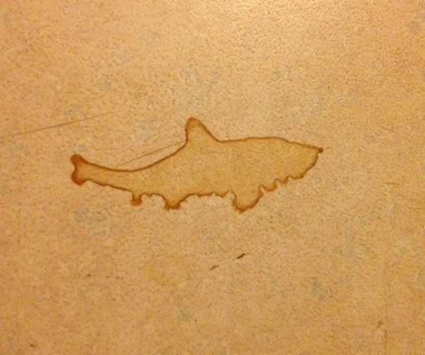 Shark Shaped Coffee Stain