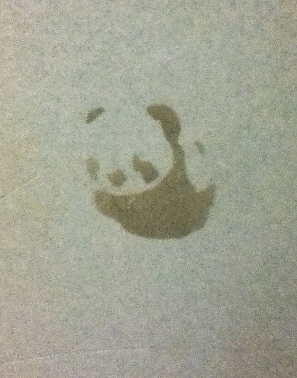 Found A Stain On A Restroom Wall That Looked Like A Panda