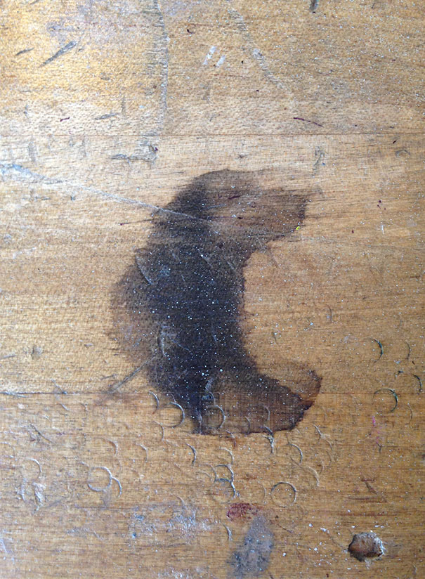 This Stain On My Table Looks Like A Dog Passionately Taking In A Sweet Smell