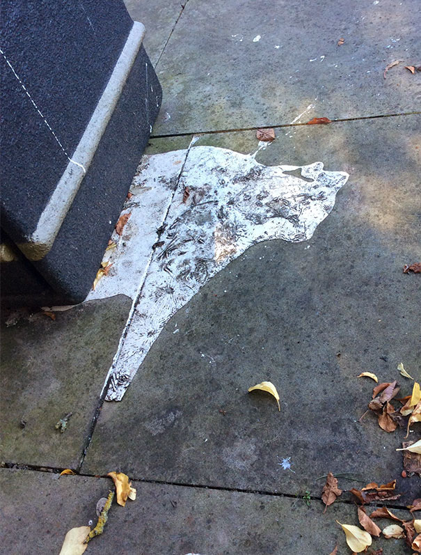 A Paint Spill That Looks Like A Cat