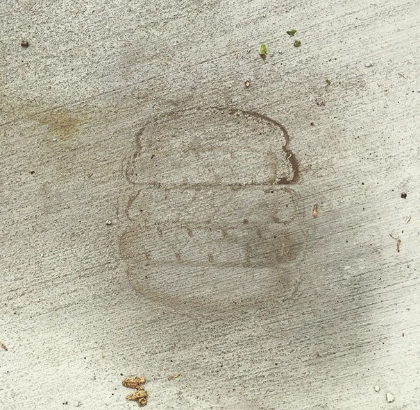 Tire Track Through A Dried Puddle Looks Like A Hamburger