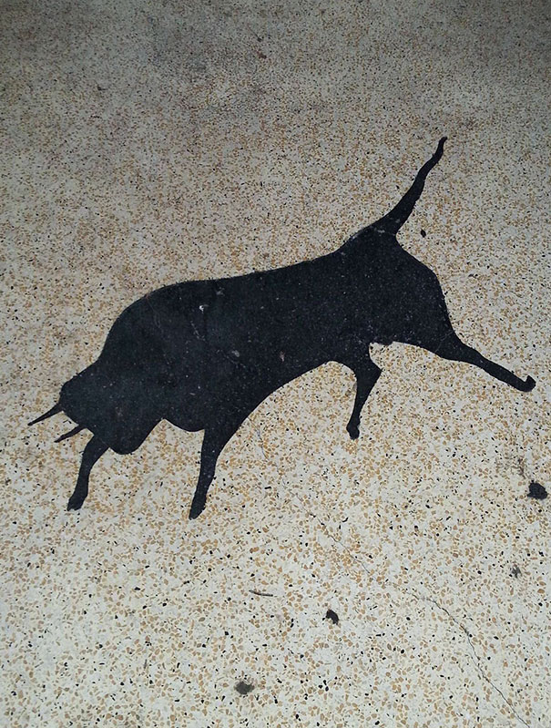 Oil Spill Looks Like A Bull