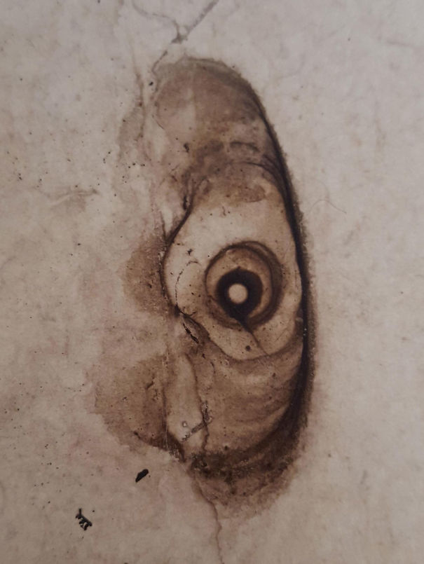 Coffee Stain Looks Like It's Staring At You