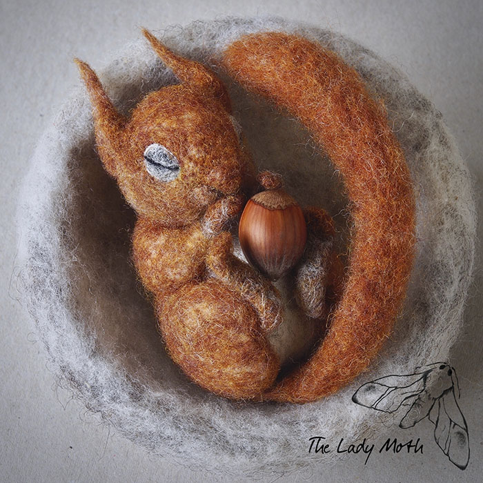 Wildlife - My Inspiration