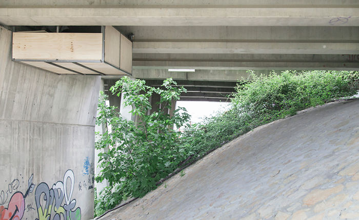 Designer Stuns Everyone In The World By Building A Secret Studio Beneath A Busy Bridge In Valencia Designer Stuns Everyone In The World By Building A Secret Studio Beneath A Busy Bridge In Valencia
