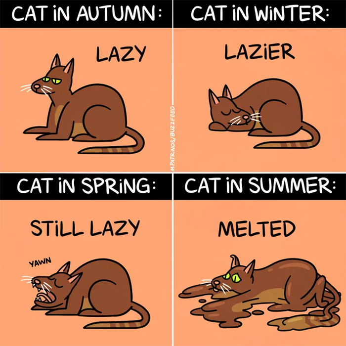 Summer-problems-comics