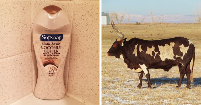 30 Times Things Matched Their Surroundings Too Well