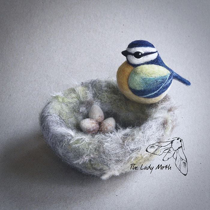 Wildlife - My Inspiration